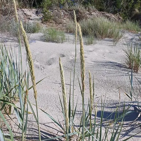 Musica Baltica Sunset *